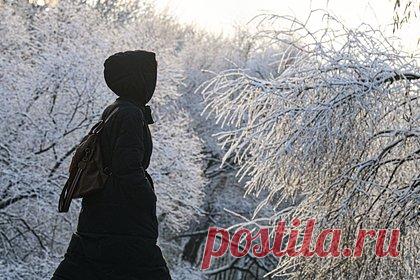 Москвичам назвали время прихода морозов