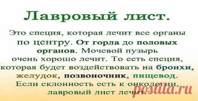 Именно остеохондроз является причиной боли в спине в 80% случаев. Для тех, у кого застарелый остеохондроз, лучше любых мазей из аптеки помогают средства на основе лаврового листа. Вот отличные рецепты: 1) Лавровое масло. Залить стаканом