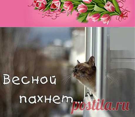 (1) Одноклассники