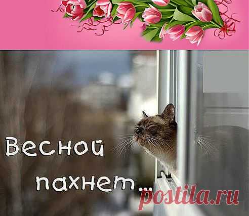 (1) Одноклассники