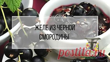 ​Желе из черной смородины Термомикс.РЕЦЕПТЫ ТЕРМОМИКС | Thermomixmania