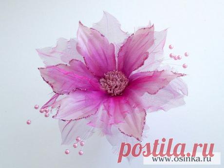 Мастер-класс. Клематис «Эжен», фантазийный вариант