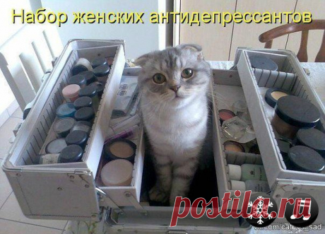 Ольга Попова