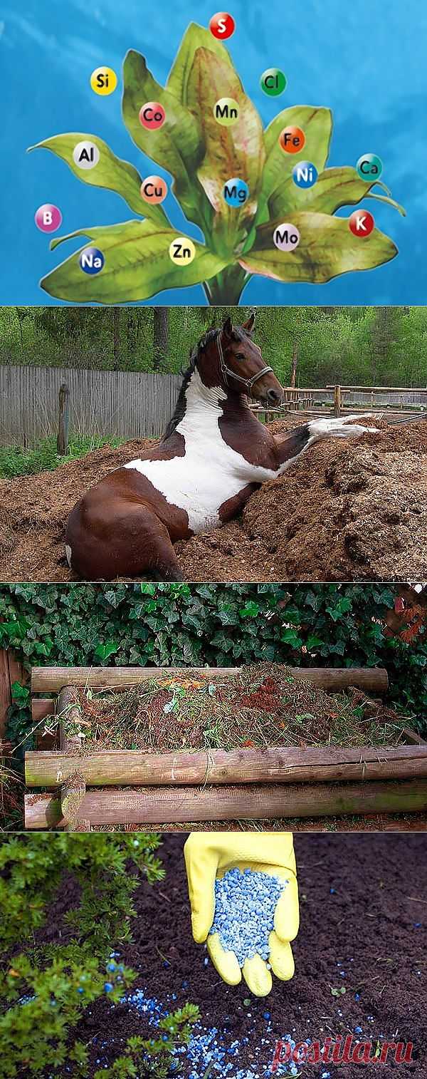 Удобрения: витамины для зелёных питомцев. Сохраните любой пост с сайта 7dach.ru в Постиле и выиграйте призы от интернет-магазина Клуб Красоты. Чем больше постов - тем выше шансы. Розыгрыш состоится в понедельник, 30 января. В акции участвуют все посты, которые содержат этот текст или фото призов!
