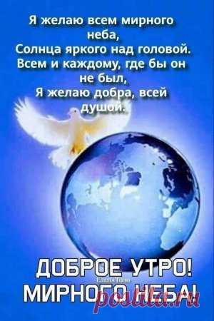 i (300×450)