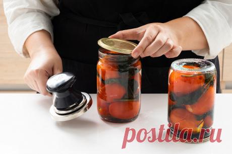 Соленые помидоры на зиму – «Еда»