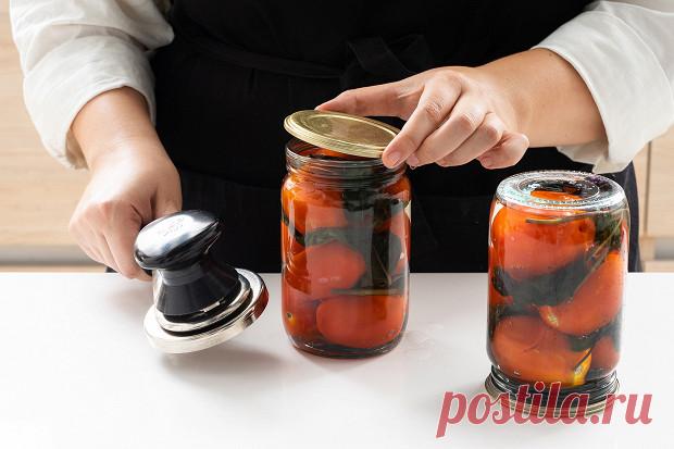 Соленые помидоры на зиму – «Еда»