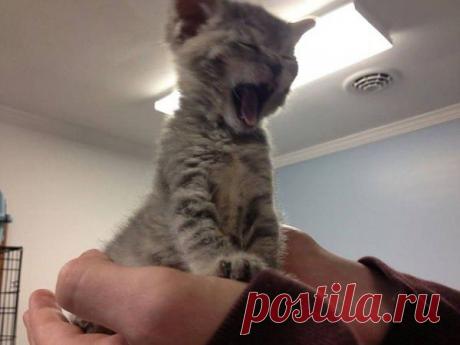 ЖРА-А-АТЬ  !!!