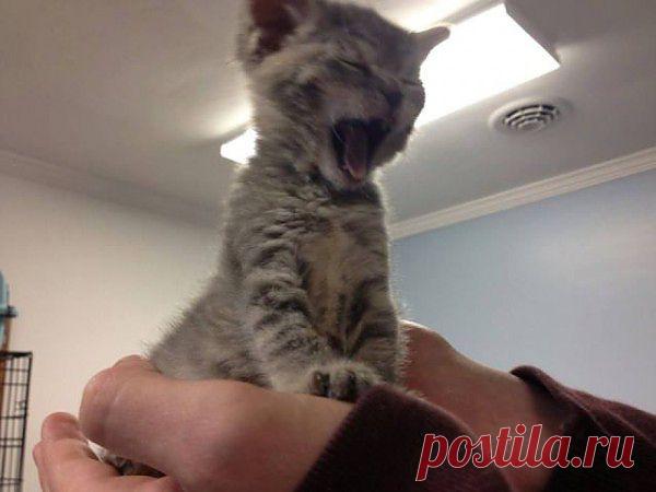 ЖРА-А-АТЬ  !!!