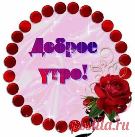 Светлана Болотова