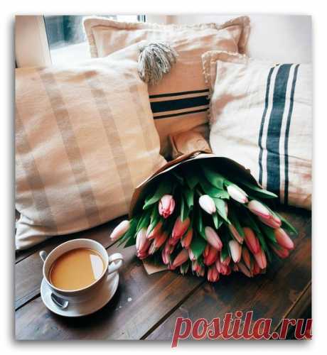 ” °••°*”``” °••°*”``” °••°*”``” °••°*

Утро нужно начинать правильно... с пару минут тишины, вкусного кофе, с любимой музыки... Хороших мыслей... 
Всем доброго утра и хорошего дня!

~ღ~Для души~ღ~