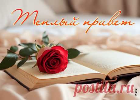 Тёплый привет!