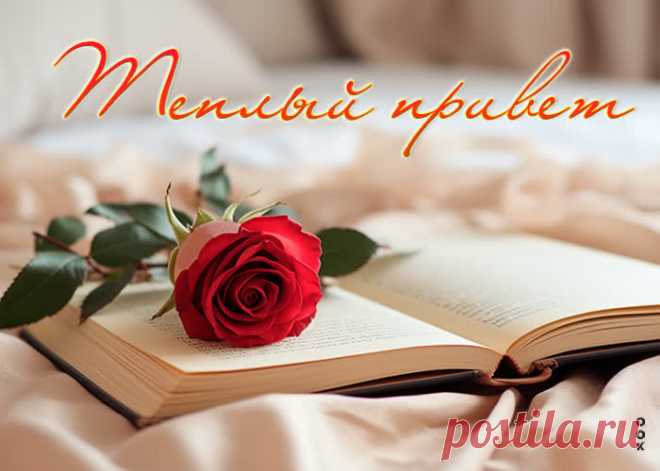 Тёплый привет!