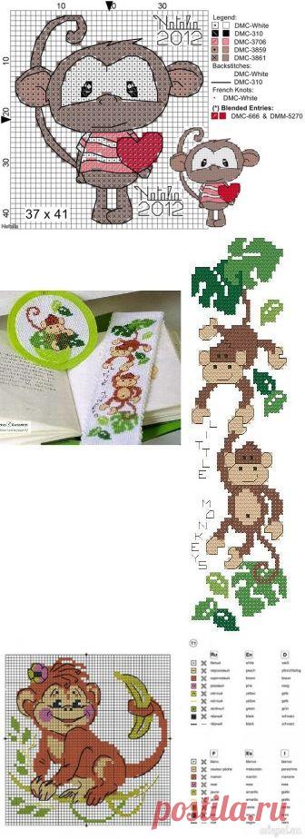 2016 год - год Обезьяны