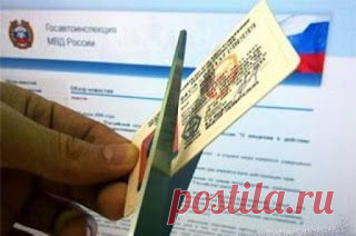 Что делать выпускникам автошкол, лишенных лицензий?