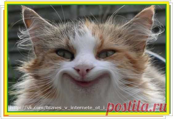 Бизнес в Интернете! | От Старта До ПРОФИ