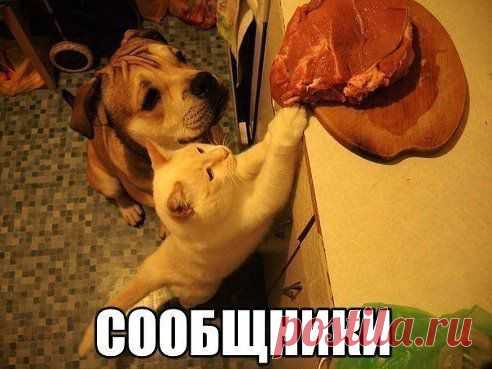 (57) Одноклассники