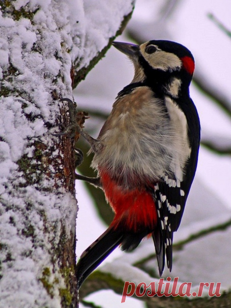 Вдохновение..