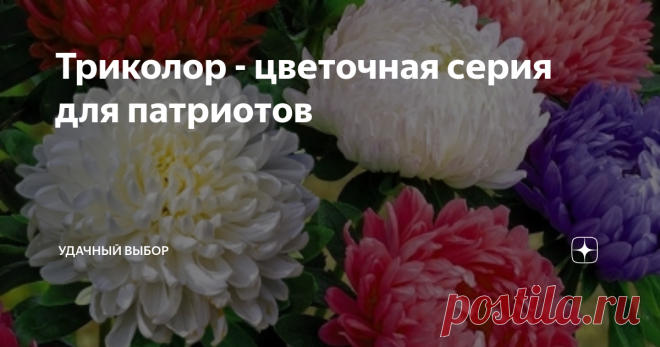 Триколор - цветочная серия для патриотов Была удивлена, когда узнала, что в серии 