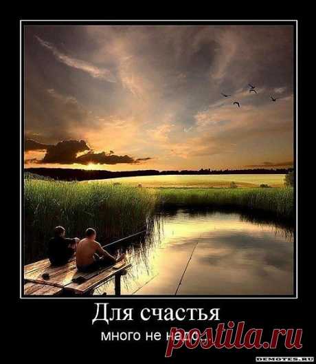 Фотографии на стене сообщества | 2 404 фотографии | ВКонтакте