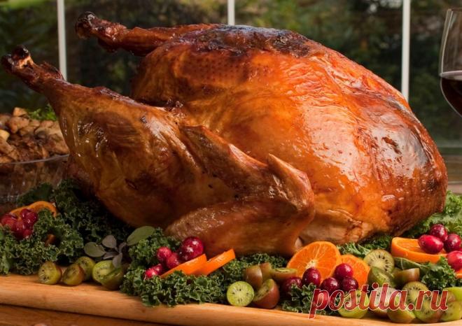 Полезный продукт для здоровья и памяти пожилых людей: Елена Соломатина - Медпульс Известный врач-диетолог Елена Соломатина утверждает, что индейка — это продукт, который обладает высокой полезностью для людей пожилого возраста.