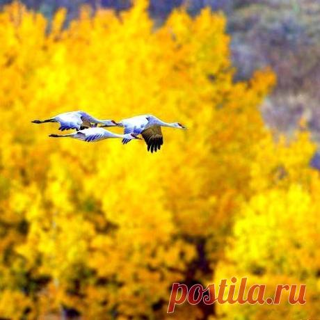 Мой Мир@Mail.Ru