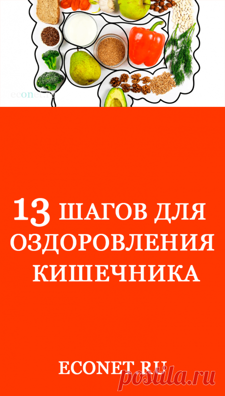 13 шагов для оздоровления кишечника

От состояния пищеварительной системы зависит качество жизни человека. Если вас беспокоят проблемы с ✅ПИЩЕВАРЕНИЕМ и кожей, боли в животе, избыточный вес или худоба, усталость, эмоциональная неустойчивость, непереносимость определенных продуктов, программа из 13 шагов поможет восстановить здоровье кишечника.