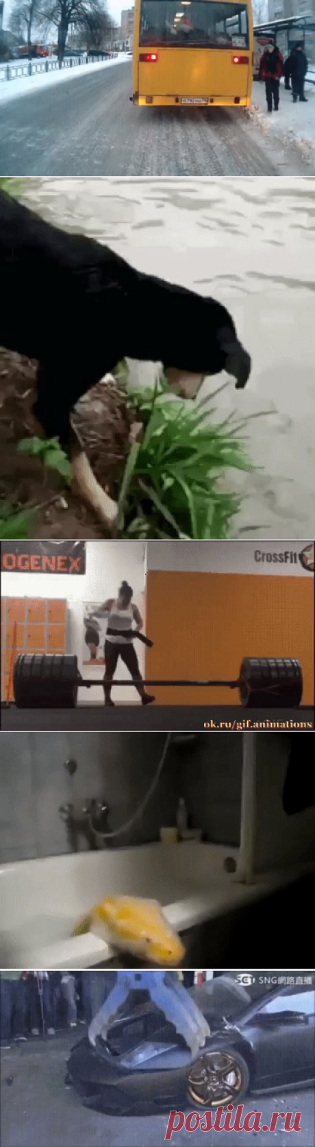 Одноклассники