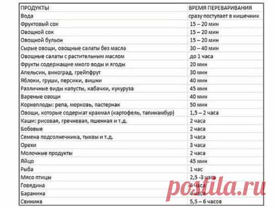 Время переваривания пищи в желудке человека.