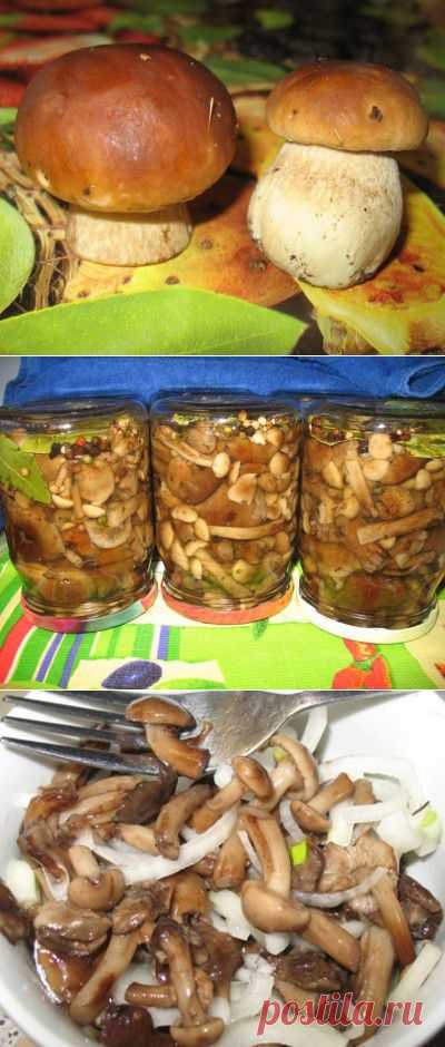 Маринованные и замороженные лесные грибочки,и рецепты из них : Грибы