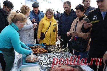 В Новороссийске началась подготовка к фестивалю «Хамса». В Новороссийске началась подготовка гастрономического фестиваля «Хамса». Отмечается, что обычно лов черноморского анчоуса стартует, когда остывает Азовское море. Начало путины в Новороссийске отмечают фестивалем, в этом году он пройдет с 3 по 5 ноября.