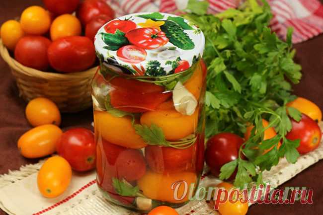 Помидоры с петрушкой на зиму: рецепт с фото пальчики оближешь