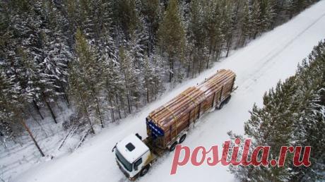 В ФТС рассказали, что контрабандисты чаще всего пытаются ввезти в Россию