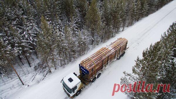 В ФТС рассказали, что контрабандисты чаще всего пытаются ввезти в Россию