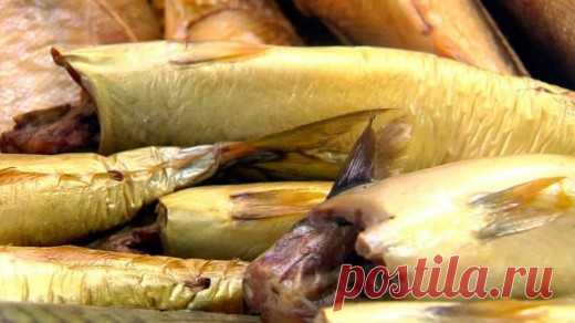 Какая рыба самая полезная?