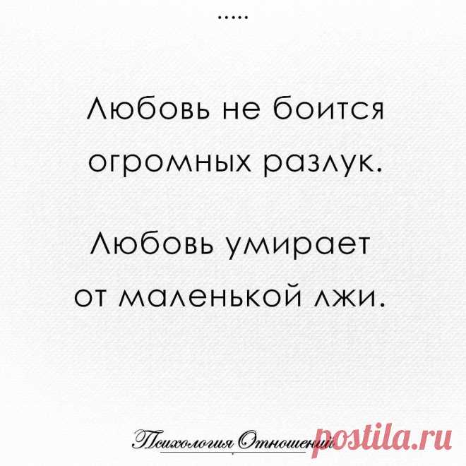 Без комментария
