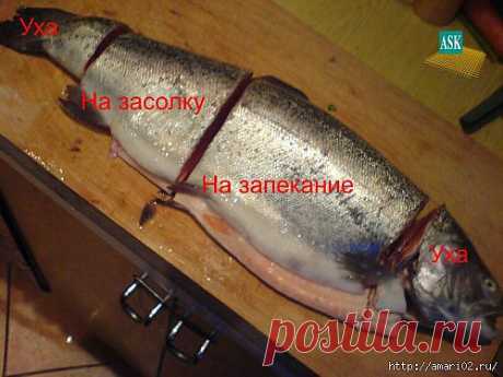 Дневник Sibstar