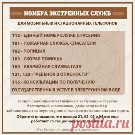 Обязательно сохраните себе эти номера, это очень ВАЖНО