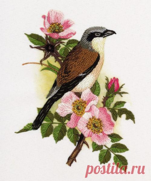 Набор для вышивания 'PANNA' 'Живая картина' ЖК-2045 'Зяблик' 13 x 16 см