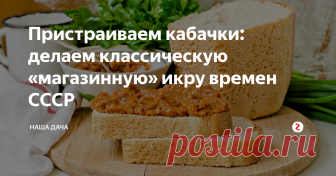 Пристраиваем кабачки: делаем классическую «магазинную» икру времен СССР Это, конечно, хорошо, но все равно, уже и салаты накручены на зиму, и икра сделана, и оладушки через день… и в голубцы вместо риса. Ан, нет – опять пакет с «пузатыми» стоит, глаза мозолит. И решилась я на икру кабачковую. Классическую – именно такую я люблю больше всего. Возни, конечно, с такой очень много, но то, что получается в конце – это невероятно. Мягкая, нежная, чуть сладковатая...ммм...