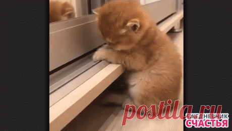 "Так спать хочется, что сил нет"