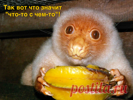 ЧТО - ТО  С  ЧЕМ - ТО.....