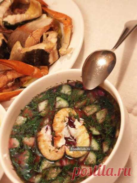 Ботвинья с рыбой и раками