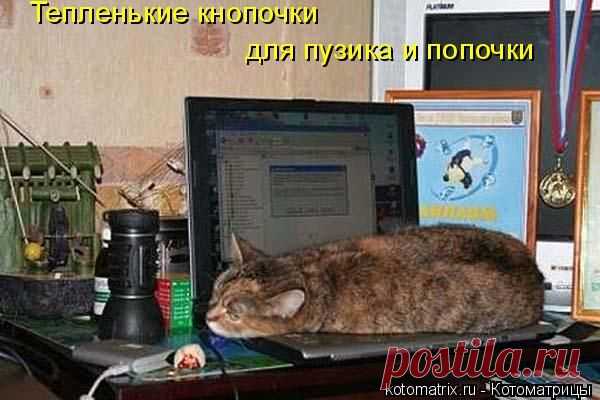 Котоматрица: Круть