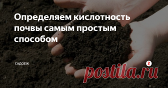 Определяем кислотность почвы самым простым способом Быстрый и доступный метод в помощь каждому дачнику