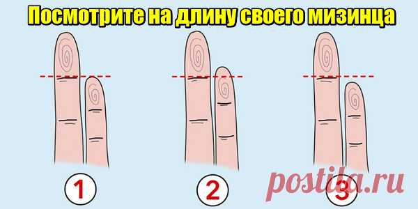 Длина вашего мизинца Pасскажет о вашем здоровье и личности