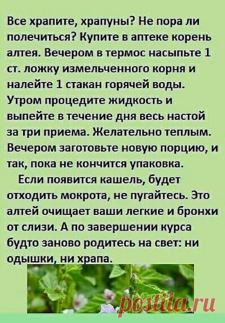 ХРАПУНАМ ПОСВЯЩАЕТСЯ