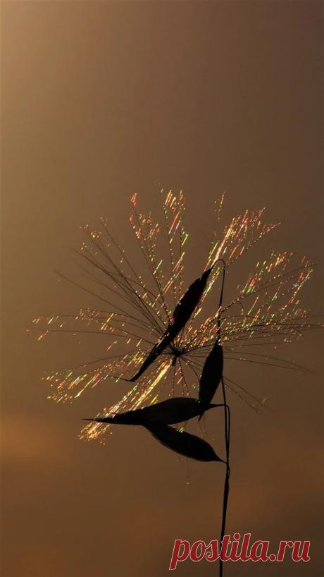 Фото – Google+