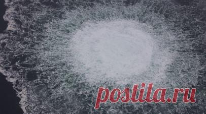 «Никакой прозрачности»: почему РФ запросила заседание Совбеза ООН по расследованию диверсий на «Северных потоках». Россия подала запрос на проведение заседания Совета Безопасности ООН по международному расследованию диверсий на газопроводах «Северный поток» и «Северный поток — 2». Об этом сообщил первый заместитель постоянного представителя РФ при организации Дмитрий Полянский. По его словам, после того как Дания и Швеция прекратили свои расследования, «стали ещё более понятны их никчёмность и…