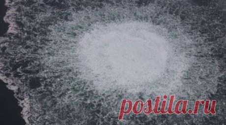 «Никакой прозрачности»: почему РФ запросила заседание Совбеза ООН по расследованию диверсий на «Северных потоках». Россия подала запрос на проведение заседания Совета Безопасности ООН по международному расследованию диверсий на газопроводах «Северный поток» и «Северный поток — 2». Об этом сообщил первый заместитель постоянного представителя РФ при организации Дмитрий Полянский. По его словам, после того как Дания и Швеция прекратили свои расследования, «стали ещё более понятны их никчёмность и…